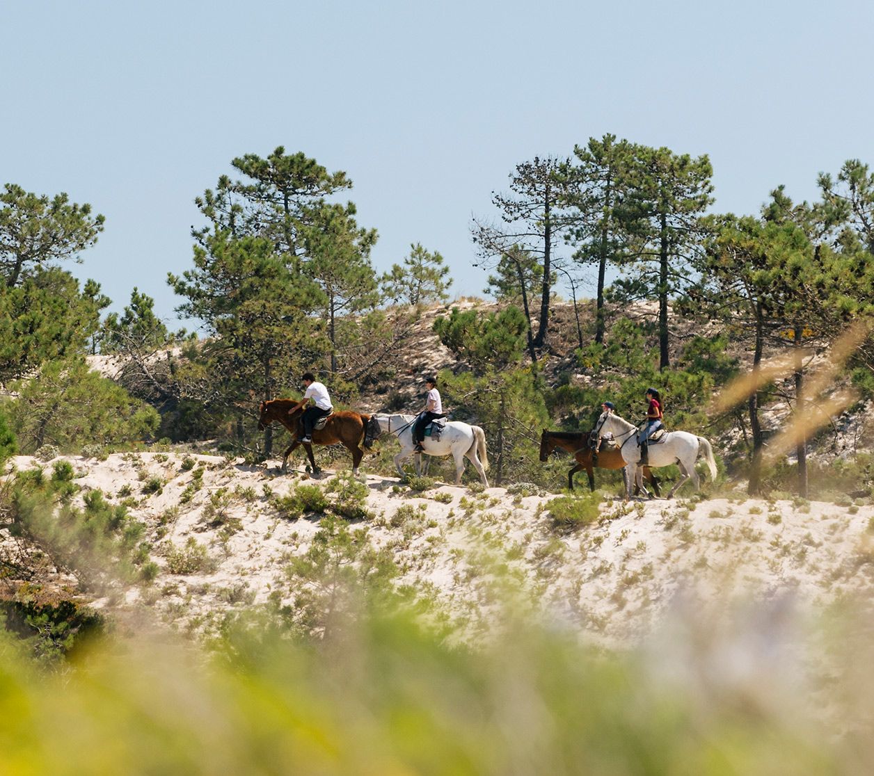 Comporta Resort Gallery