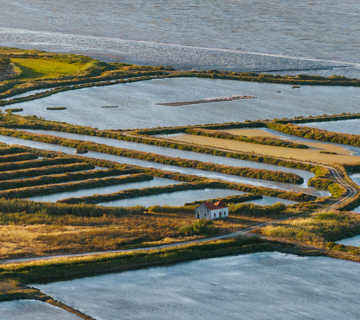 Comporta Resort Gallery